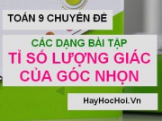 [Tổng hợp] Các dạng bài tập về tỉ số lượng giác của góc nhọn Toán 9